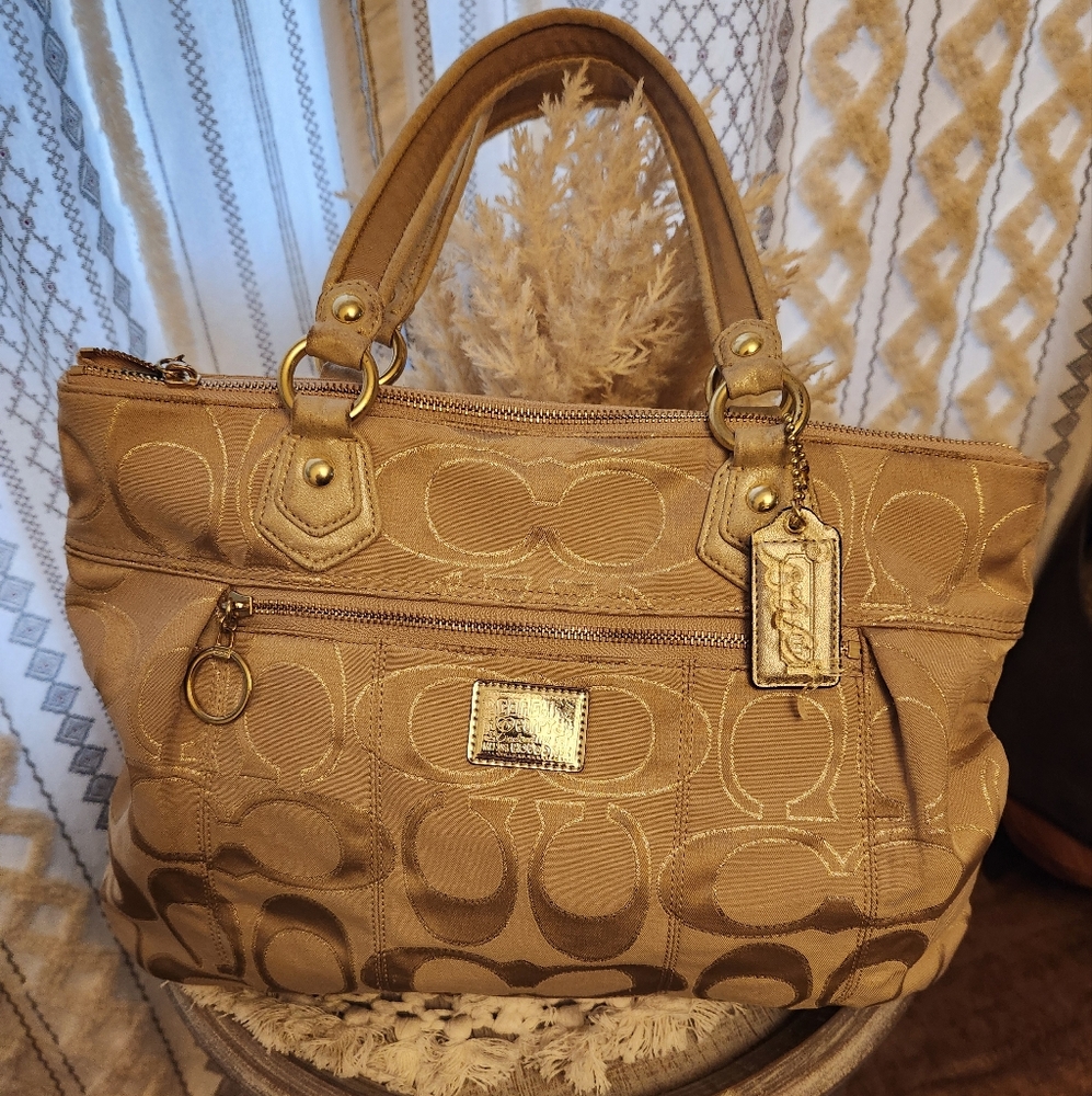 COACH tote bag signature canvas Beige total pattern 17890